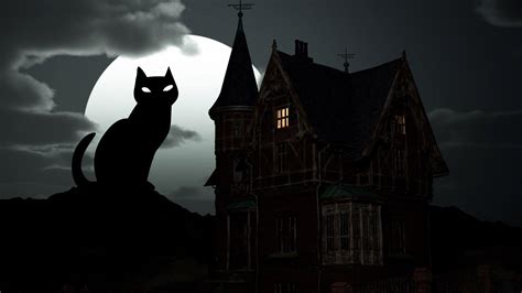 Black Cat Halloween Wallpapers - Top Free Black Cat Halloween Backgrounds - WallpaperAccess