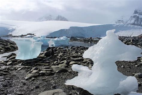 Port Lockroy, Antarctic Peninsula 2024: Best Places to Visit - Tripadvisor