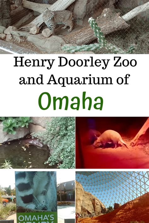 Henry Doorly Zoo Animals and Aquarium are Mindblowing Fun - Traveling ...