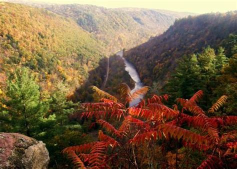 Pa Grand Canyon Fall Foliage / virginir.com - Visit Potter-Tioga State ...