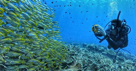 Palawan El Nido Scuba Diving Refresher Course with Equipment, Tank & Weight Belt | Guide to the ...