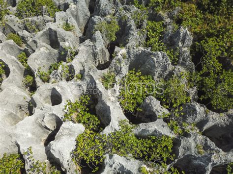 Makatea, aerial shot of the island - Landscape - Tahiti Stock Footage - Photos, Videos - Banque ...