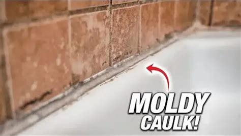 Eliminate Shower Caulk Mold and Mildew | We Caulk Showers