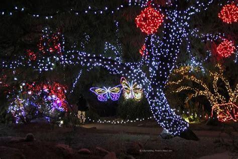 Celebrate the Holidays at the National Zoo with ZooLights | Christmas travel, Holiday, Christmas ...