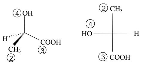 Lactose Fischer Projection