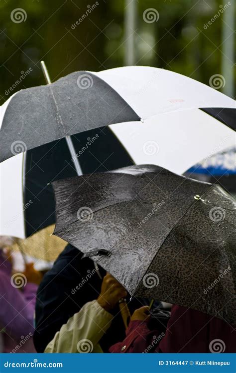 Rainy day umbrellas stock image. Image of umbrella, colors - 3164447