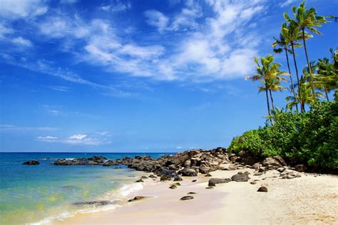 10 Best North Shore Beaches (for Surfing, Kids, & More!)