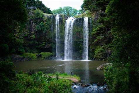 Whangarei Falls the other day. : r/newzealand