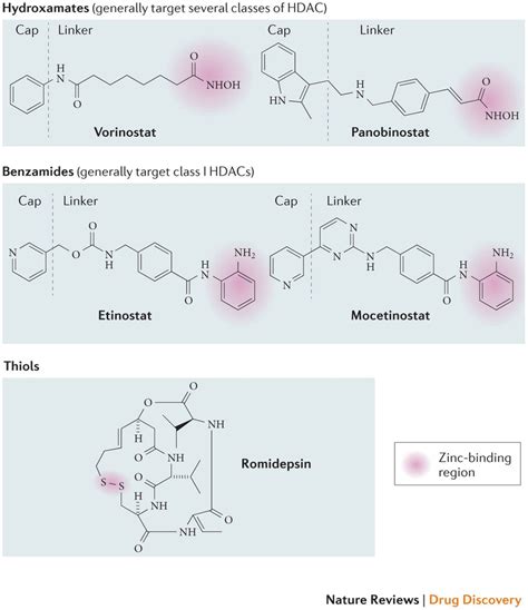 Structure of HDAC inhibitors. : Histone deacetylases and their ...