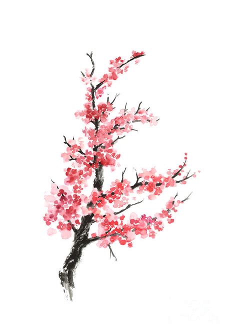 Cherry blossom branch watercolor poster Painting by Joanna Szmerdt - Pixels