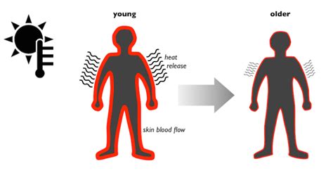 Body Temperature - Center for Healthy Aging