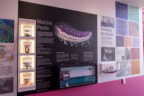 Australian National Maritime Museum — Pixalux Design