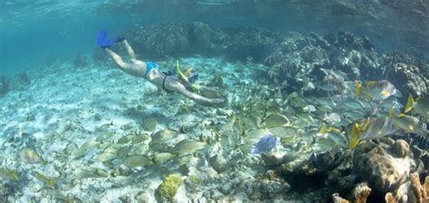 Montego Bay Snorkeling Adventure | Jamaica Snorkeling