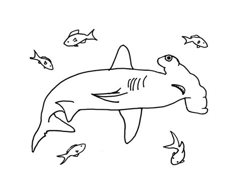 Hammerhead Shark Coloring Page - Art Starts for Kids