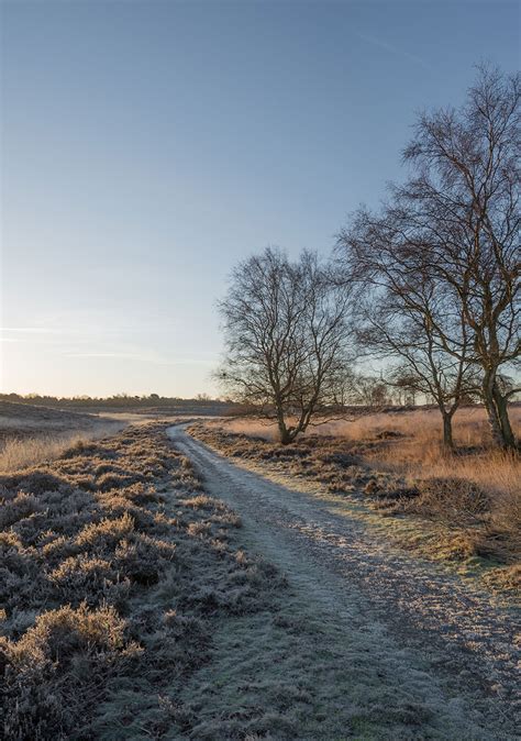 Into the wild - Places and Faces Magazine | Norfolk and Suffolk