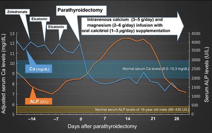 Drastic change in serum Ca and ALP levels (hungry bone syndrome) during... | Download Scientific ...