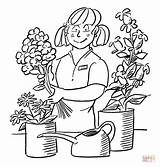 Florist Coloring Pages sketch template