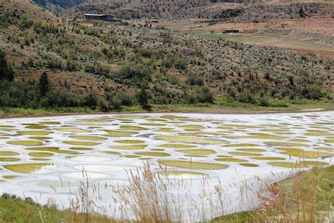 Spotted Lake - Unusual, But Natural Phenomenon - YourAmazingPlaces.com