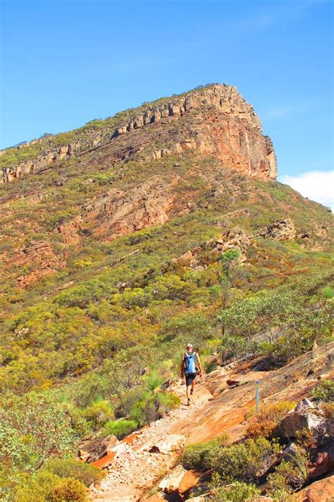 St Mary Peak, Flinders Ranges, South Australia Stock Photo - Image of natural, hill: 70630758