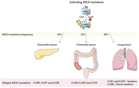 Cells | Free Full-Text | KRAS as a Modulator of the Inflammatory Tumor Microenvironment ...