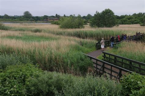 JibberJabberUK: London Wetland Centre