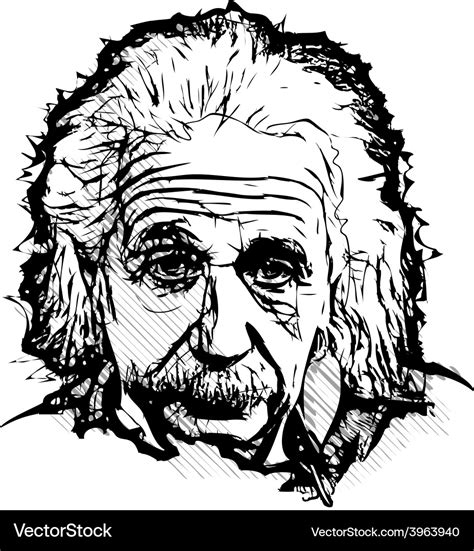 Albert einstein Royalty Free Vector Image - VectorStock