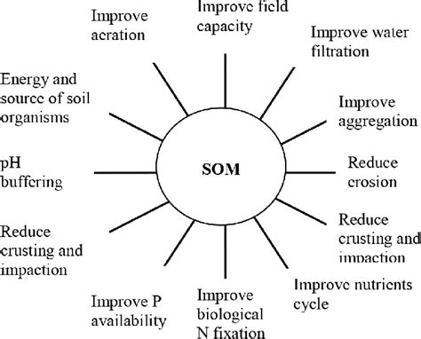 Soil organic matter contributes to soil fertility. | Download Scientific Diagram