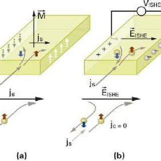 Schematic illustration of the (a) spin Hall effect (SHE) and (b)... | Download Scientific Diagram