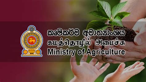 Public servants given Friday holiday option to grow food - Sri Lanka