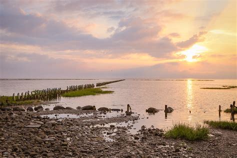 Why you should visit the Wadden Sea National Park - Adventurous Miriam