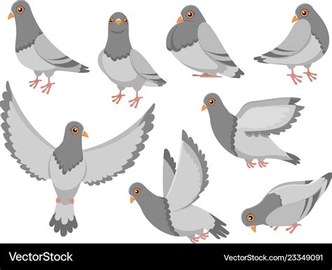 Cartoon pigeon city dove bird flying pigeons Vector Image