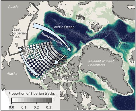 Sediment rich sea ice, produced over the Siberian shelves (East... | Download Scientific Diagram