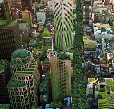 Biophilic Cities Lead the Way to Urban Sustainability – THE DIRT