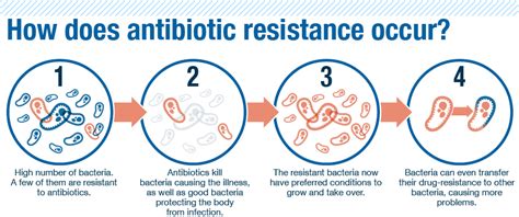 What is antibiotic resistance: everything you need to know