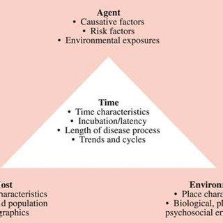 Components of Epidemiology Triangle - TommymcyRoberts