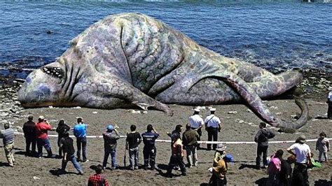 Largest Animal In The World Ever