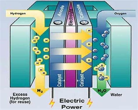 electrochemistry - Hydrogen fuel cell - why do the H+ ions move through the electrolyte ...