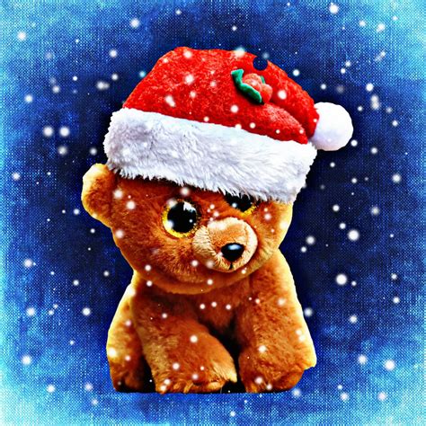 Free Images : flower, christmas tree, teddy bear, christmas decoration, santa hat, funny, santa ...