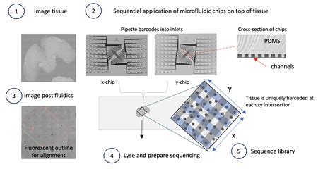 Spatial Epigenomics — Data analysis — AtlasXomics