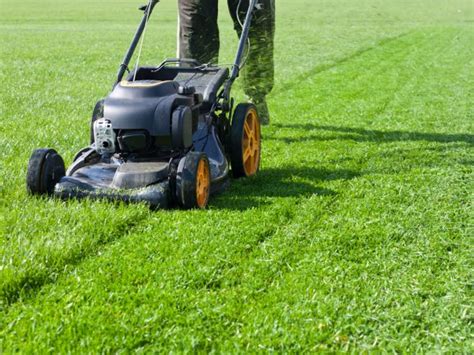 Fescue Lawn Care Calendar - Ken Matthews Garden Center