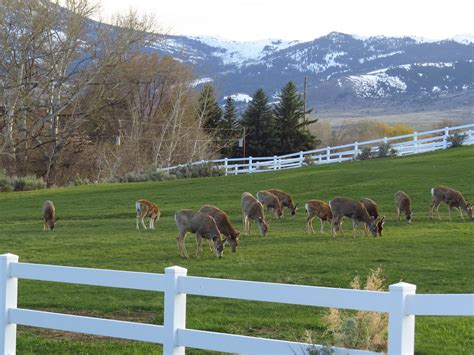 Albion Idaho Photo by Linda Wilcox | Idaho, Pikes peak, Photo