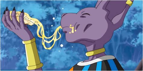 Dragon Ball: 10 Unanswered Questions About Beerus We Want To Know