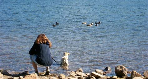 Mauch Chunk Lake Park Kayaking - change comin