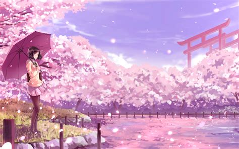 wallpaper girl, umbrella, sakura, anime, art, cartoon HD : Widescreen ...