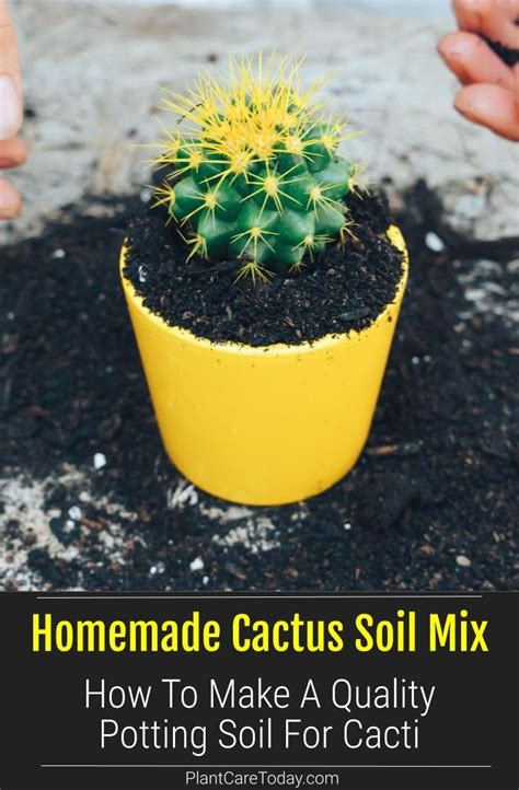 Cactus Soil Mix Diy - Do It Yourself