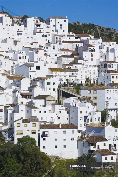 White houses on hill — structure, fresh - Stock Photo | #164920702