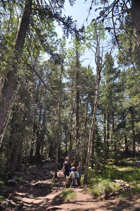 LA VITA IMMENSA: Hiking the Crest Trail in the Sandia Mountains