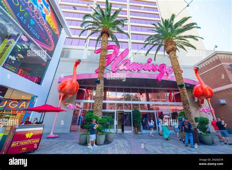 Flamingo Las Vegas