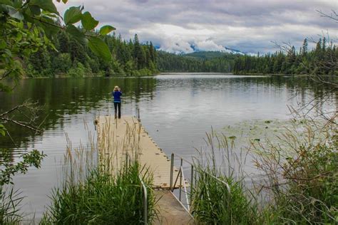 Alvord Lake Community Forest - Grizzly bear conservation and protection