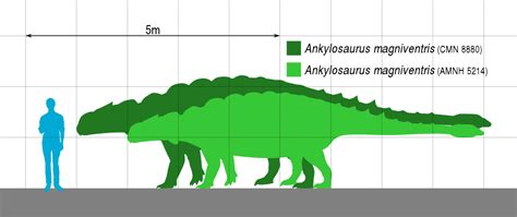 34+ dinosaur size comparison to human - FearnAemilia